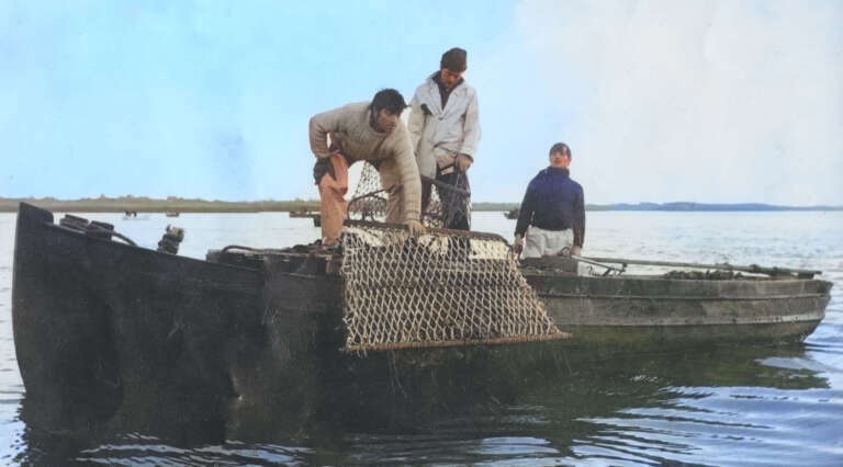 Two men and a young boy on a fishing boat using a fishing net